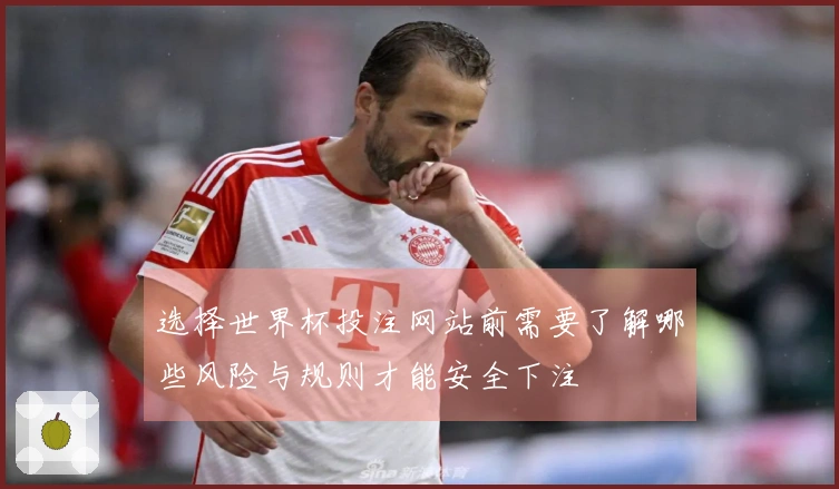 选择世界杯投注网站前需要了解哪些风险与规则才能安全下注