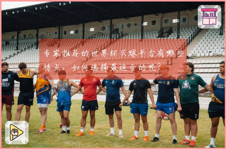 专家推荐的世界杯买球平台有哪些特点，如何选择最适合的呢？