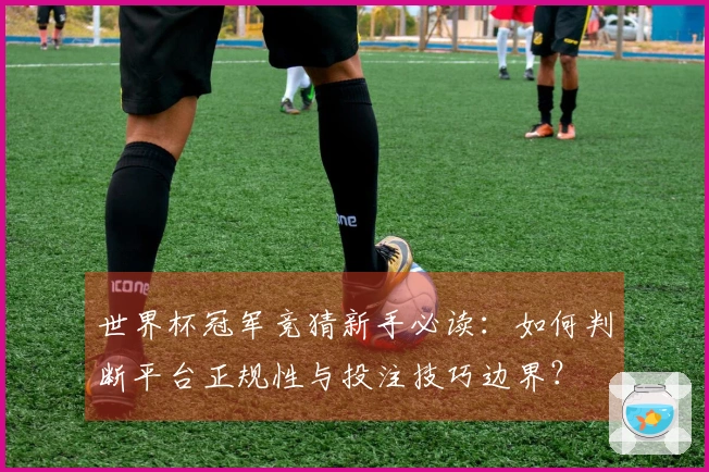 世界杯冠军竞猜新手必读：如何判断平台正规性与投注技巧边界？