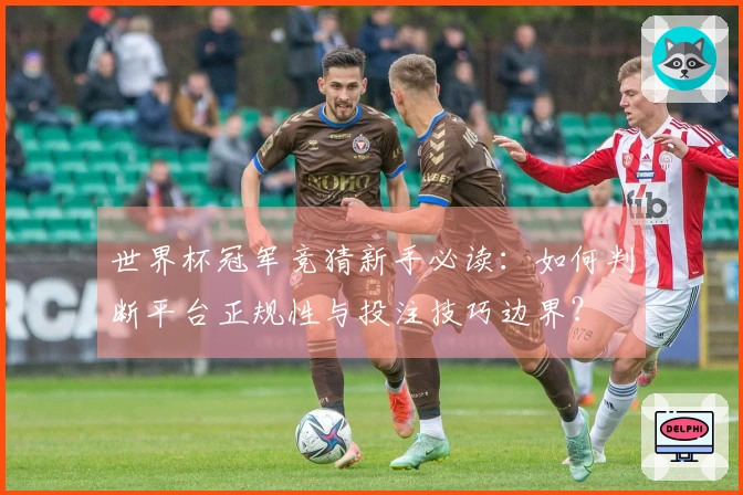 世界杯冠军竞猜新手必读：如何判断平台正规性与投注技巧边界？