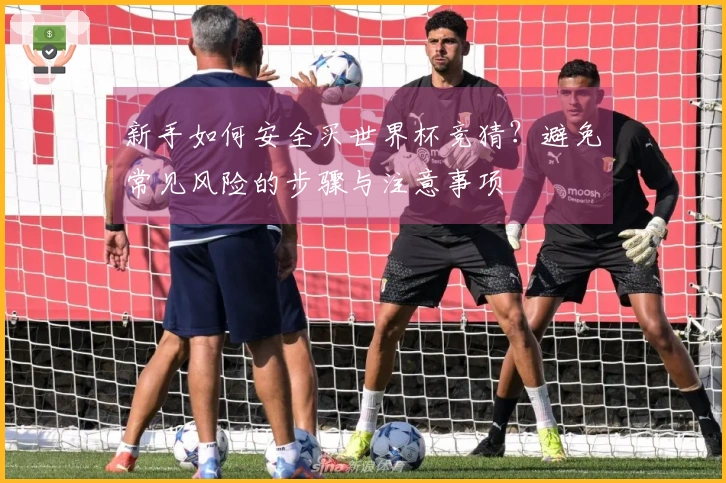 新手如何安全买世界杯竞猜？避免常见风险的步骤与注意事项