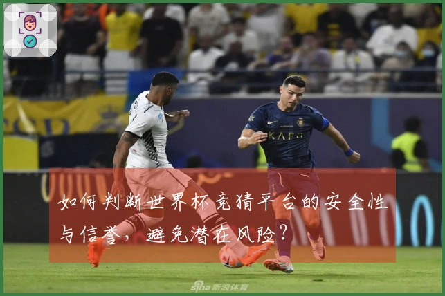 如何判断世界杯竞猜平台的安全性与信誉，避免潜在风险？