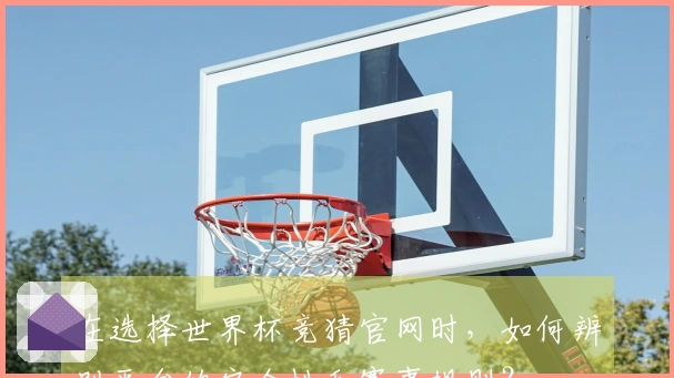 在选择世界杯竞猜官网时，如何辨别平台的安全性和赛事规则？