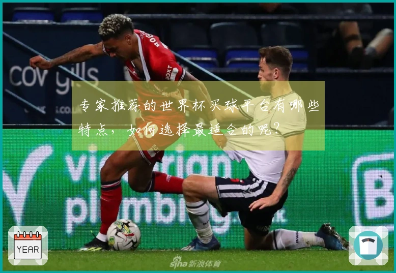 专家推荐的世界杯买球平台有哪些特点，如何选择最适合的呢？